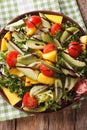 Fruit vegetable salad of mango, avocado, kiwi, tomato and lettuc Royalty Free Stock Photo