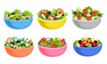 Fruit and Vegetable Salad Served in Bowls Vector Set Royalty Free Stock Photo