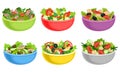 Fruit and Vegetable Salad Served in Bowls Vector Set Royalty Free Stock Photo