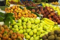 Fruit and Vegetable Stand or Farmers Market