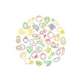 Fruit and vegetable vector logo with line icons