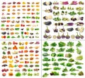 Fruit and Vegetables collection isolated Royalty Free Stock Photo