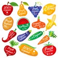 Fruit and vegetables color silhouettes, logo for food store packaging