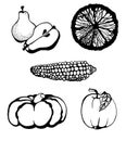 Fruit and Vegetables doodle set