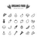 Fruit and Vegetables icon set. Vegan natural bio pictograms. Artichoke, asparagus, wheat, bananas, grapes, leeks, garlic, ginger a
