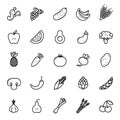 Fruit and Vegetables icon set. Vegan natural bio pictograms. Artichoke, asparagus, wheat, bananas, grapes, leeks, garlic, ginger a