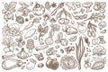 Fruit and vegetables monochrome sepia sketches big set Royalty Free Stock Photo