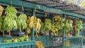 Fruit Vendors at Sultan Qaboos Street in salalah, oman, Dhofar Governorate Royalty Free Stock Photo