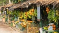 Fruit Vendors at Sultan Qaboos Street in salalah, oman, Dhofar Governorate Royalty Free Stock Photo