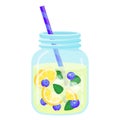 Fruit water icon, natural freshness and refreshment