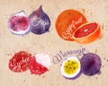 Fruit watercolor figs, grapefruit, lychee Royalty Free Stock Photo