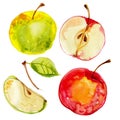 Fruit watercolor sketch of food. Apples painted with watercolors on white paper. Red apple, green apple, leaf, half an Royalty Free Stock Photo