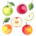 Fruit watercolor sketch of food. Apples painted with watercolors on white paper. Red apple, green apple, leaf, half an Royalty Free Stock Photo
