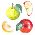 Fruit watercolor sketch of food. Apples painted with watercolors on white paper. Red apple, green apple, leaf, half an Royalty Free Stock Photo