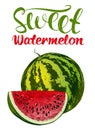 Fruit watermelon, logo, calligraphic text hand drawn vector illustration realistic sketch color