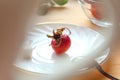 The fruit of the wild rose on a white plate closeup, bokeh , side view Royalty Free Stock Photo