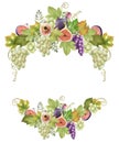 Fruit wreath of green and purple grapes, leaves, figs and flowers