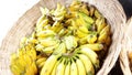 Fruit  in a basket, during chhat puja. Royalty Free Stock Photo