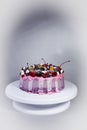 Fruit yoghurt cake Royalty Free Stock Photo