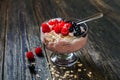 Fruit yoghurt with currants and raspberries Royalty Free Stock Photo