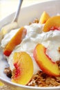 Fruit Yoghurt and Muesli Royalty Free Stock Photo