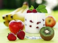Fruit yogurt Royalty Free Stock Photo