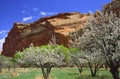 Fruita garden in Canyonlands Royalty Free Stock Photo