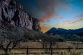 Fruita`s historic vineyards under the cliffs of Capitol Reef. Royalty Free Stock Photo