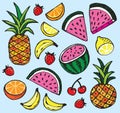 Vector illustration of fresh summer fruits Royalty Free Stock Photo