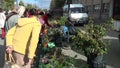 Fruiter seedling market