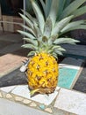 FruitPineapple Royalty Free Stock Photo