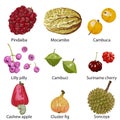 Set of fruits on white background Royalty Free Stock Photo