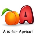 Fruits alphabet: A is for Apricot Fruits