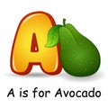 Fruits alphabet: A is for Avocado Fruits