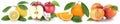 Fruits apple orange peach apples oranges peaches fresh fruit in