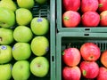 Fruits apples green red basket health fresh nature natural hungry mall shop market