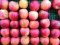 Fruits apples green red basket health fresh nature natural hungry mall shop market