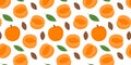 Fruits of apricot seamless pattern. Apricot vector floral pattern