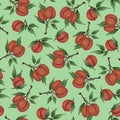 Fruits of apricots, peaches, nectarines on branches with green leaves. Seamless pattern. Watercolor realistic illustration. For