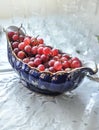 Fruits arrangement with rose grapes in porcelain bowl on white tablecloth. Elegant table arrangement with grapes