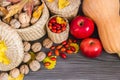 Fruits of autumn Royalty Free Stock Photo