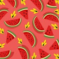 fruits background watermelon concept illustration vector