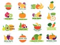 Fruits badges. Colored logotype with fruits juicy vegetables for personal identity brand design templates recent vector pictures