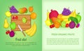 Fruits banner set, cartoon style