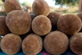 The fruits of the baobab. Close-up. Madagascar. Royalty Free Stock Photo