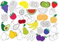 Fruits and berries. Coloring book. Educational game for children Royalty Free Stock Photo