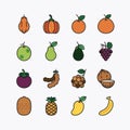 Fruits and berries flat icons set. on a white background. Vector icon Royalty Free Stock Photo