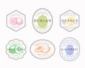 Fruits and Berries Frame Badges or Logo Templates Collection. Hand Drawn Papaya, Kiwi, Durian, Quince and Blackberry