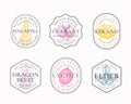 Fruits and Berries Frame Badges or Logo Templates Collection. Hand Drawn Pineapple, Lychee, Kiwano, Currant and