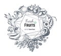 Fruits and berries hand drawn banner. Vector frame